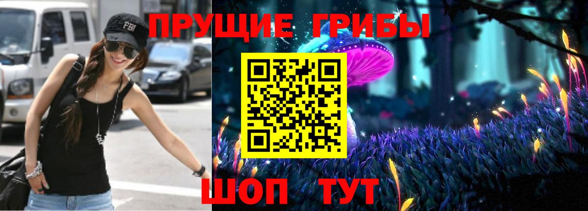 как найти закладки  Вход с VPN  Саров  Галлюциногенные грибы Cubensis 